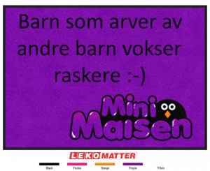 Mini-Maisen